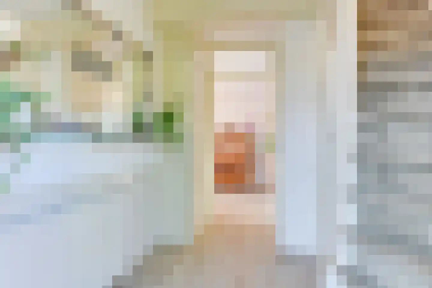 Boterzwin 4207 Julianadorp thumbnail 7