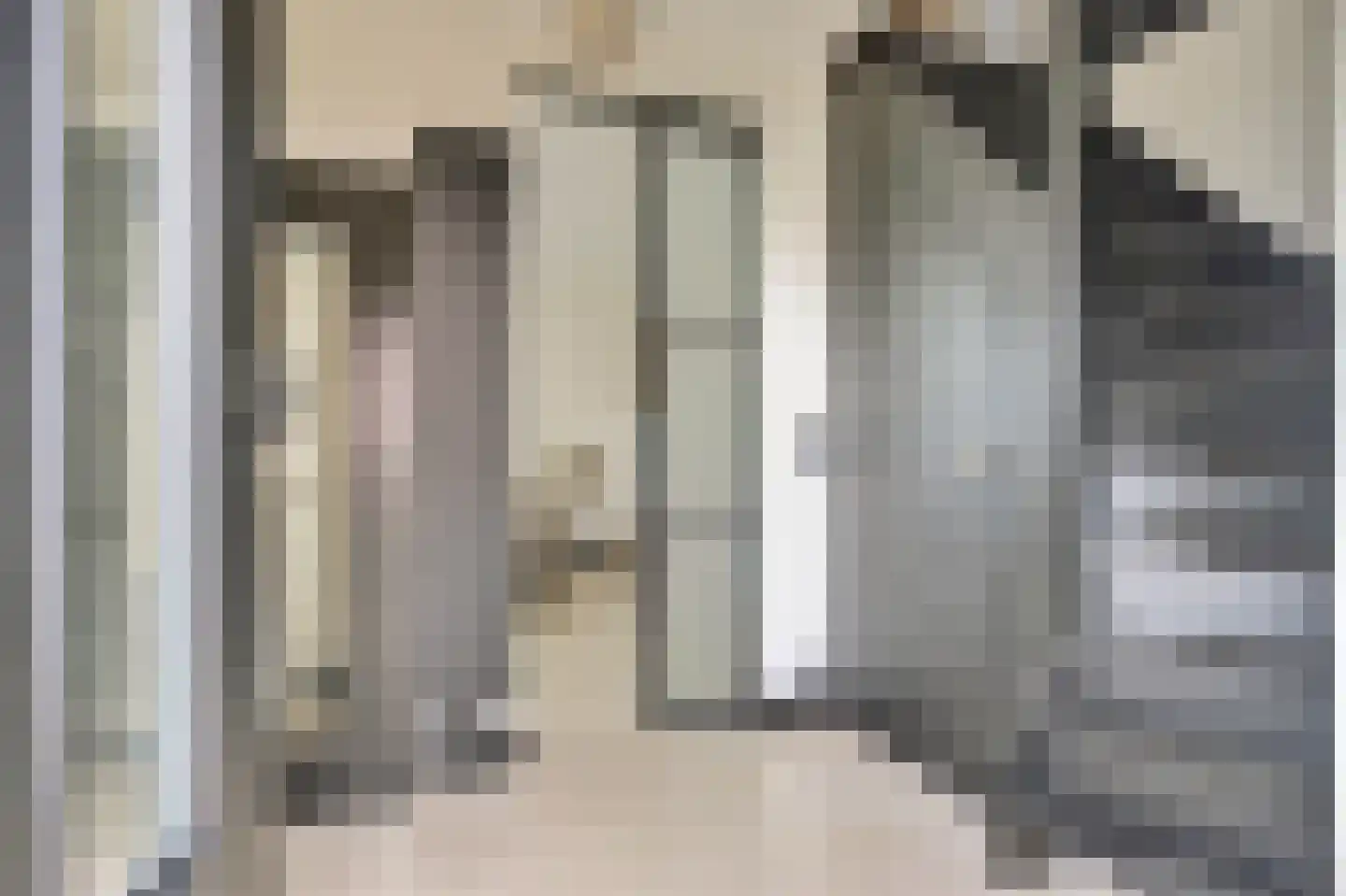 Boterzwin 4230 Julianadorp thumbnail 10