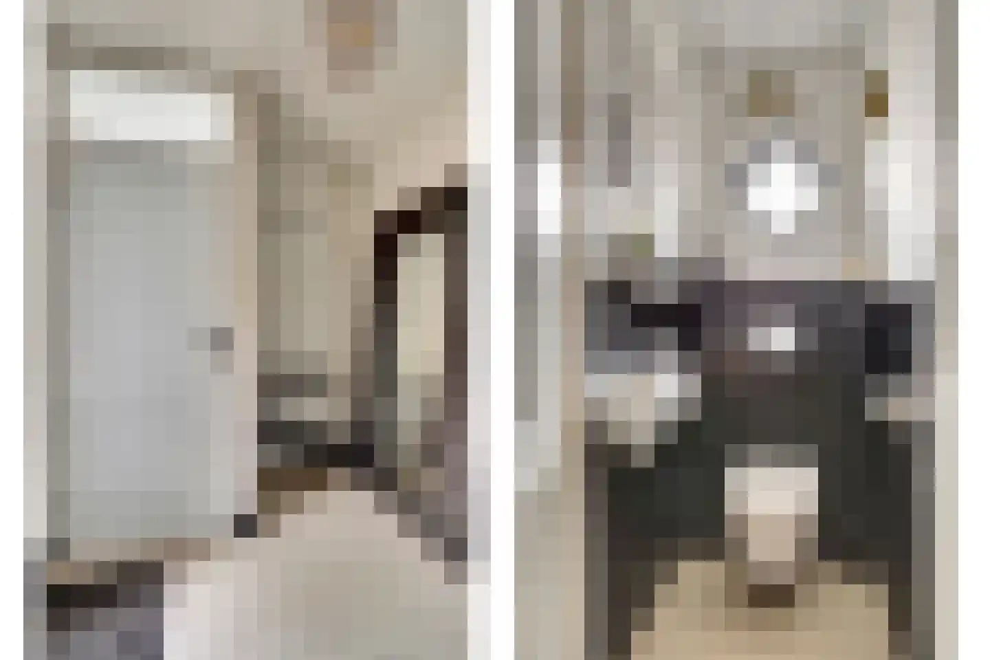 Boterzwin 4230 Julianadorp thumbnail 11