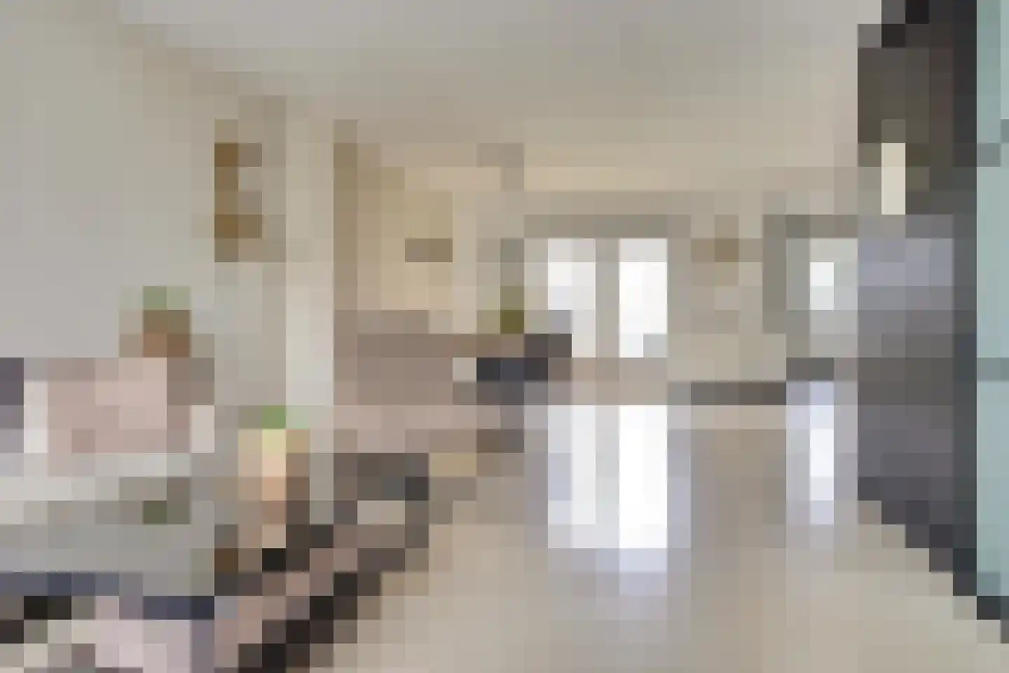 Boterzwin 4230 Julianadorp thumbnail 13