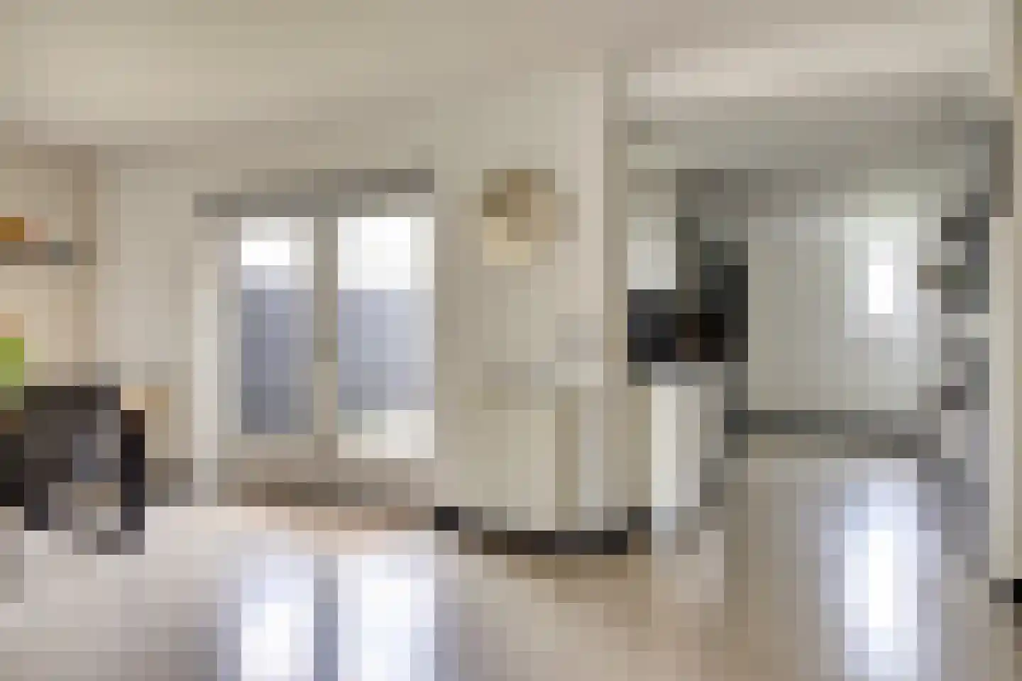 Boterzwin 4230 Julianadorp thumbnail 18