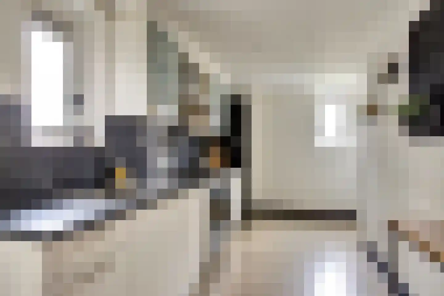 Boterzwin 4230 Julianadorp thumbnail 20