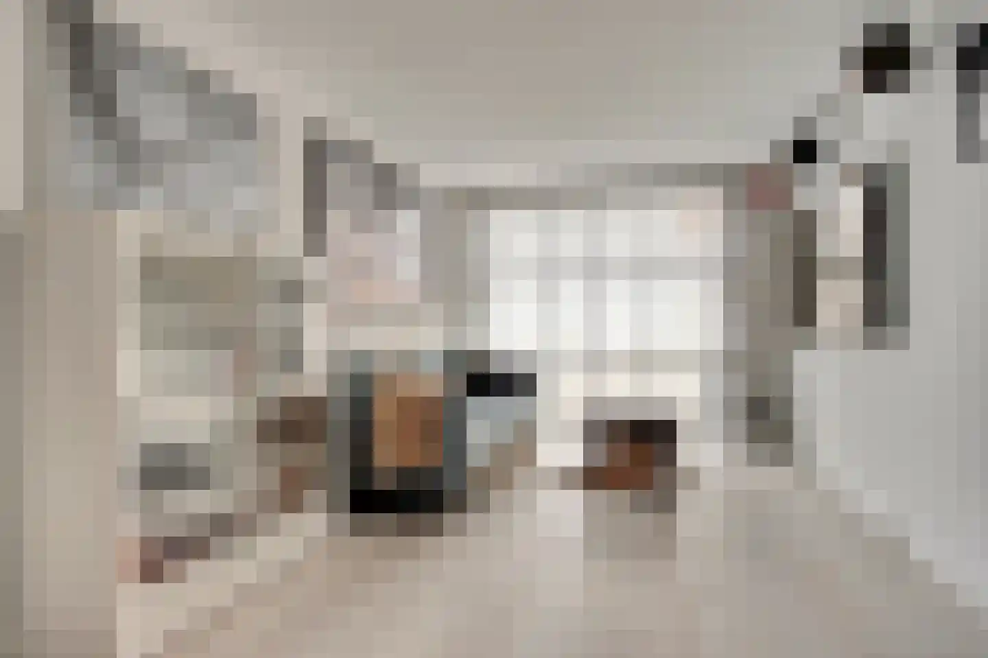 Boterzwin 4230 Julianadorp thumbnail 22