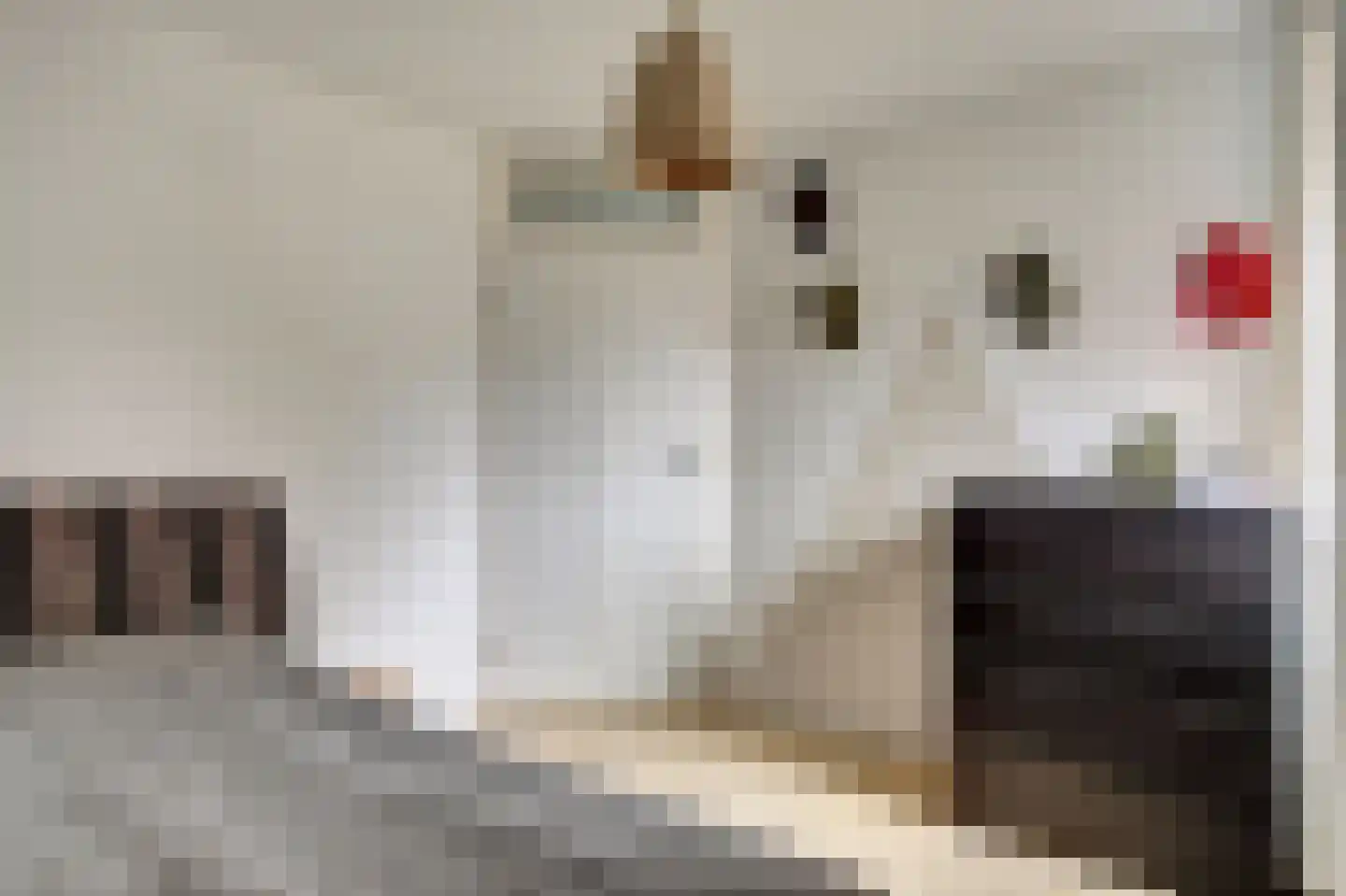 Boterzwin 4230 Julianadorp thumbnail 27
