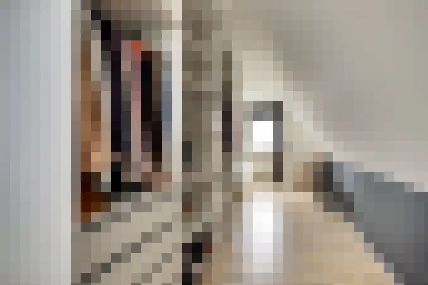 Boterzwin 4230 Julianadorp thumbnail 28