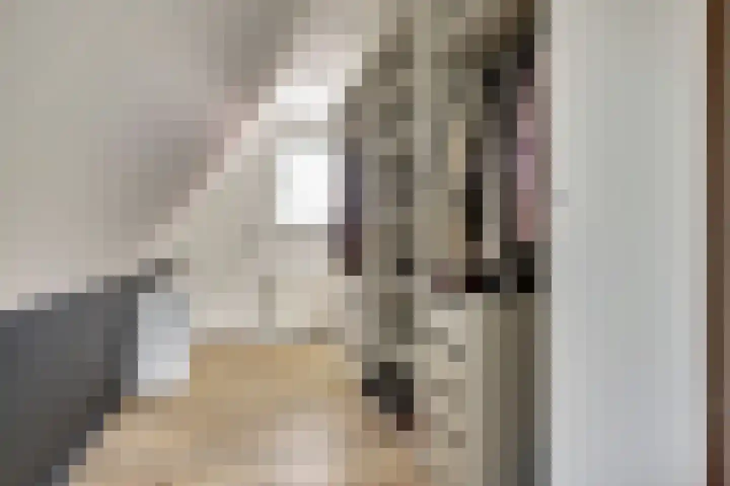 Boterzwin 4230 Julianadorp thumbnail 29