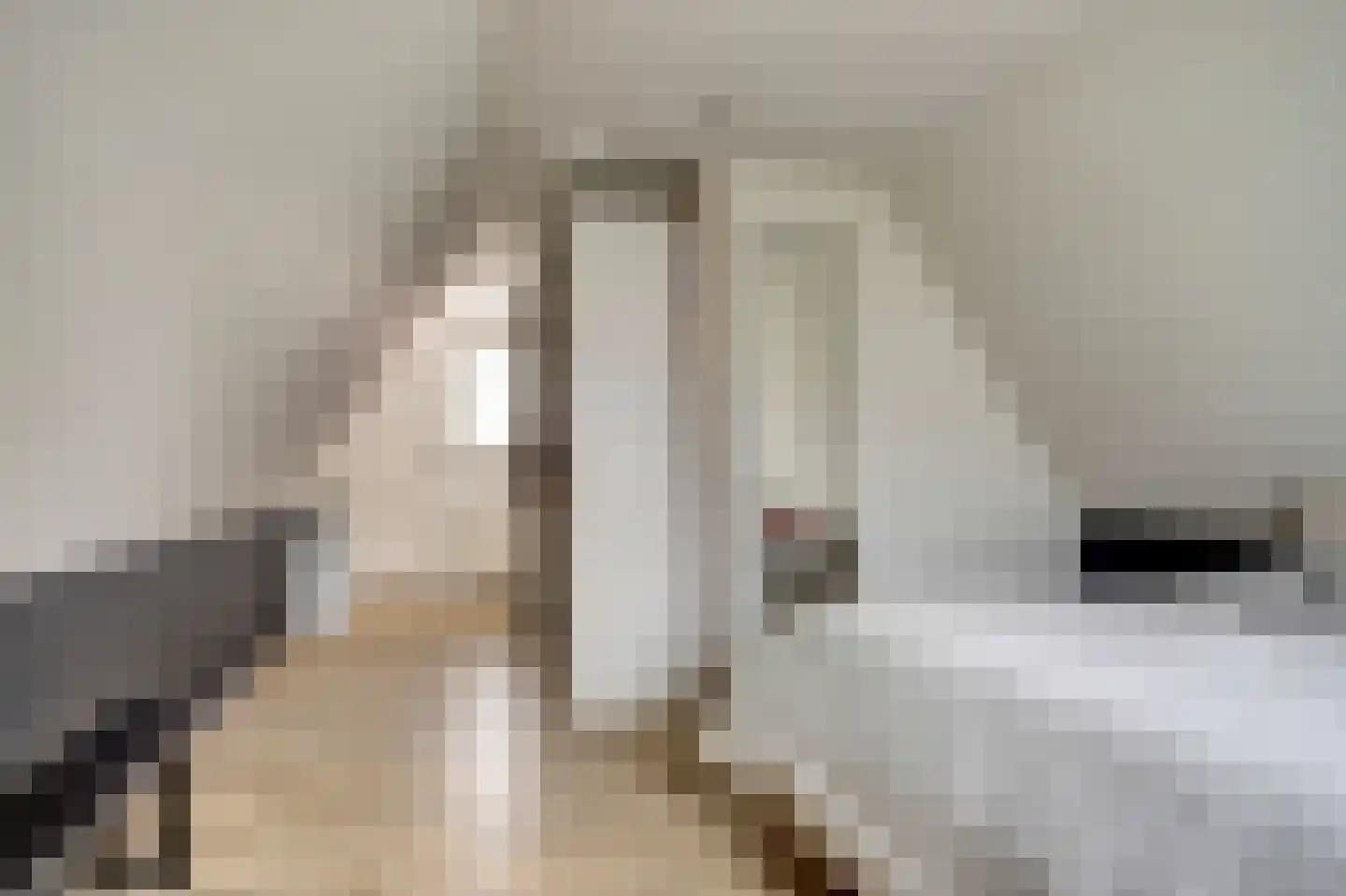 Boterzwin 4230 Julianadorp thumbnail 30