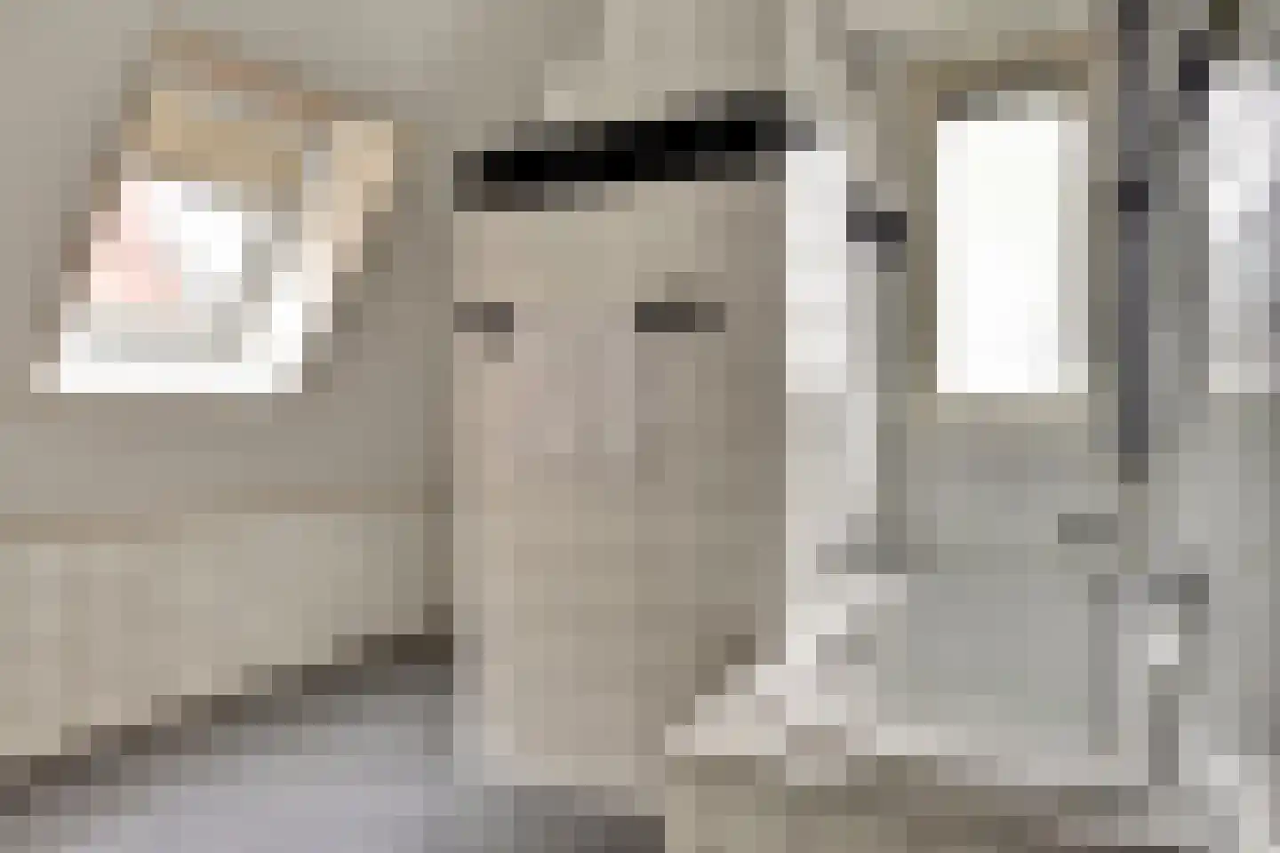 Boterzwin 4230 Julianadorp thumbnail 33