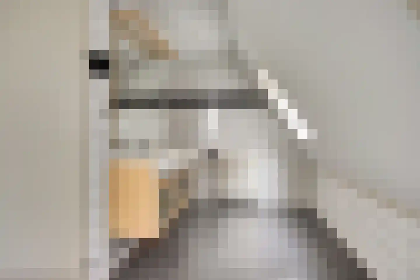 Boterzwin 4230 Julianadorp thumbnail 34