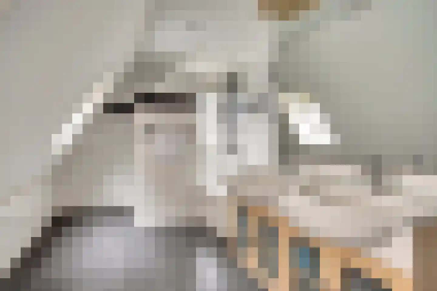 Boterzwin 4230 Julianadorp thumbnail 35