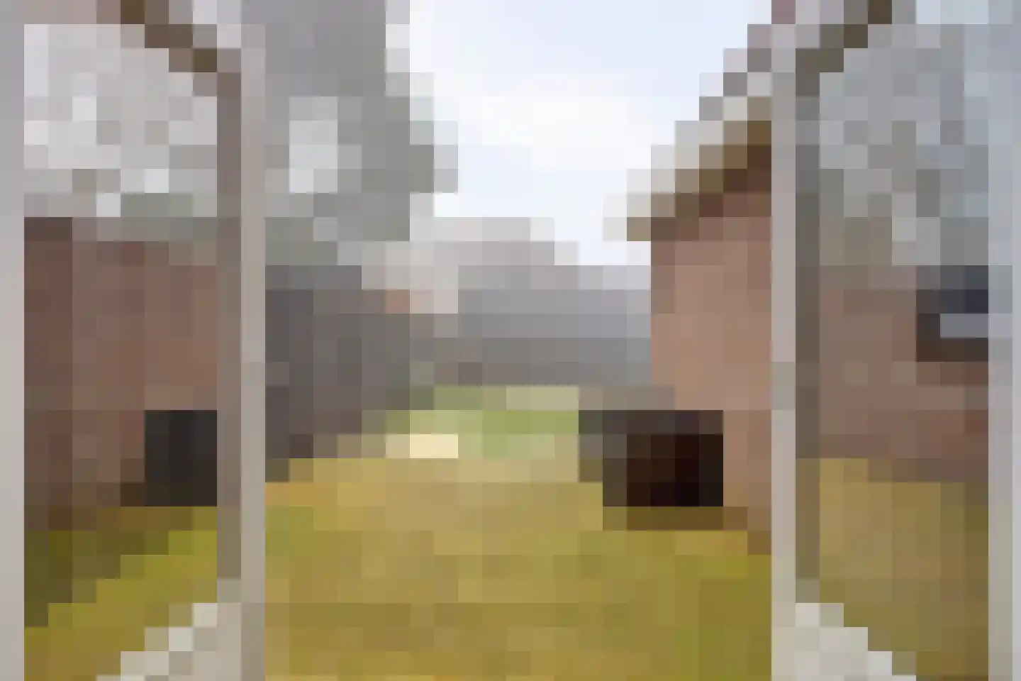 Boterzwin 4230 Julianadorp thumbnail 38
