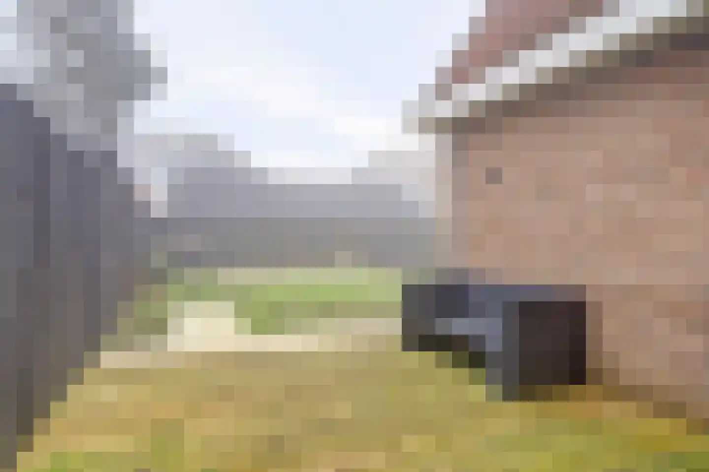 Boterzwin 4230 Julianadorp thumbnail 40