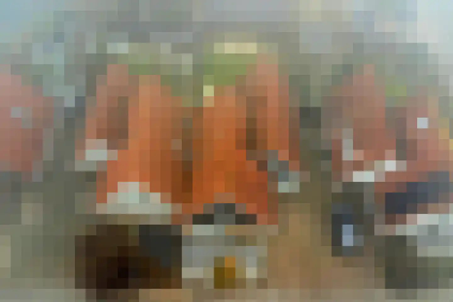 Boterzwin 4230 Julianadorp thumbnail 46