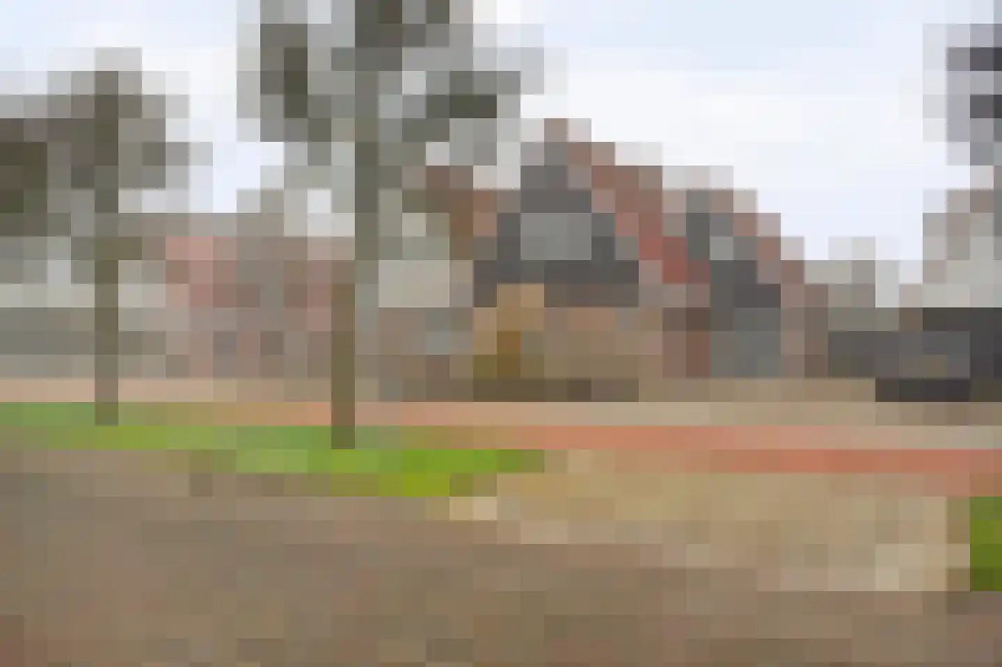 Boterzwin 4230 Julianadorp thumbnail 6