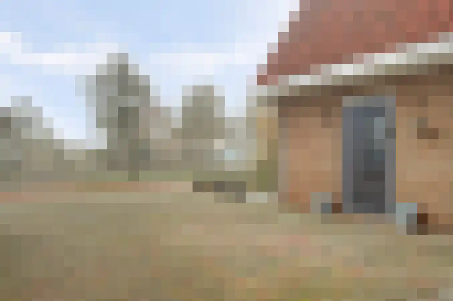 Boterzwin 4230 Julianadorp thumbnail 9