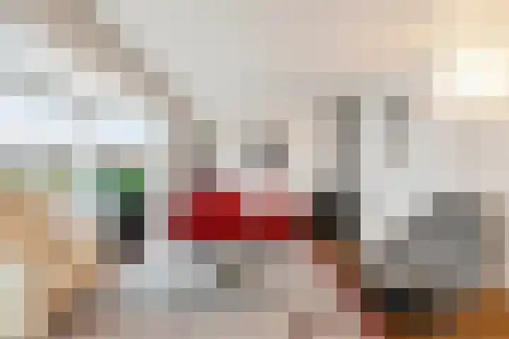 Boterzwin 4304 Julianadorp thumbnail 12