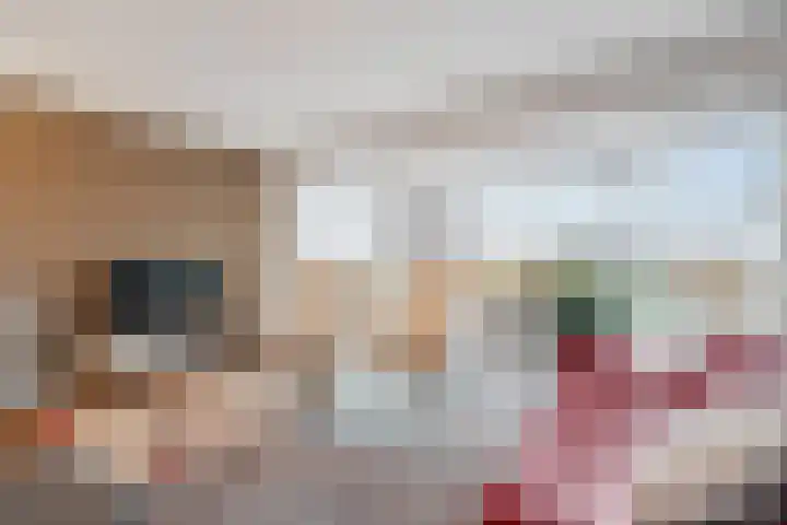 Boterzwin 4304 Julianadorp thumbnail 14