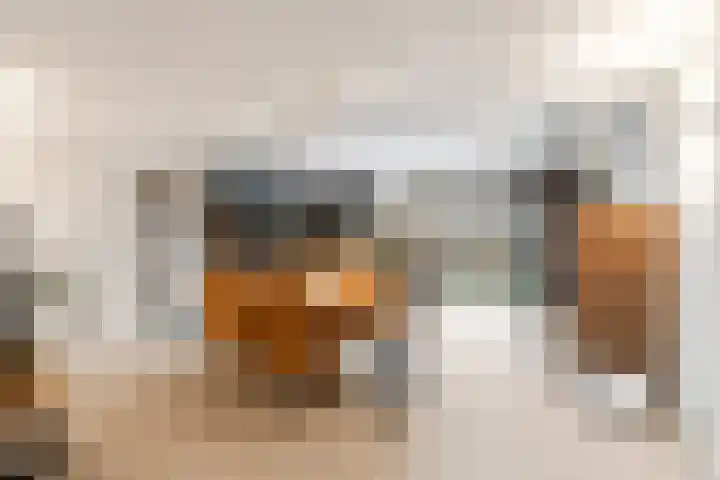 Boterzwin 4304 Julianadorp thumbnail 16