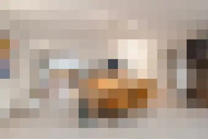 Boterzwin 4304 Julianadorp thumbnail 18