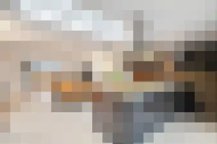Boterzwin 4304 Julianadorp thumbnail 20