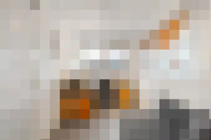 Boterzwin 4304 Julianadorp thumbnail 24