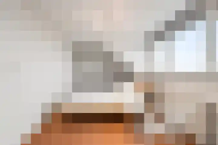 Boterzwin 4304 Julianadorp thumbnail 30