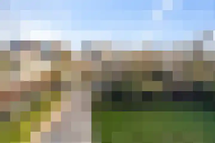 Boterzwin 4304 Julianadorp thumbnail 32