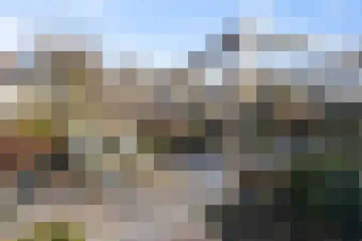 Boterzwin 4304 Julianadorp thumbnail 33
