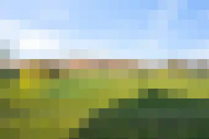 Boterzwin 4304 Julianadorp thumbnail 36