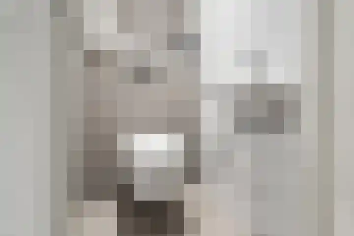 Boterzwin 4304 Julianadorp thumbnail 8