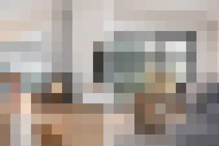 Boterzwin 4401 Julianadorp thumbnail 10