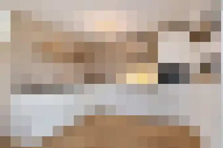 Boterzwin 4401 Julianadorp thumbnail 14