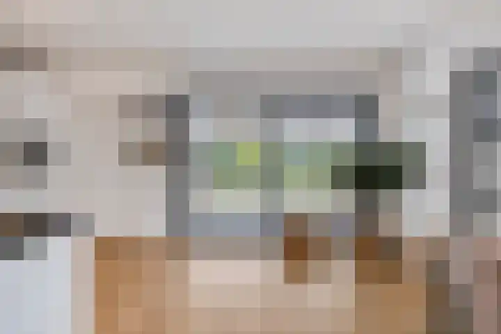 Boterzwin 4401 Julianadorp thumbnail 15