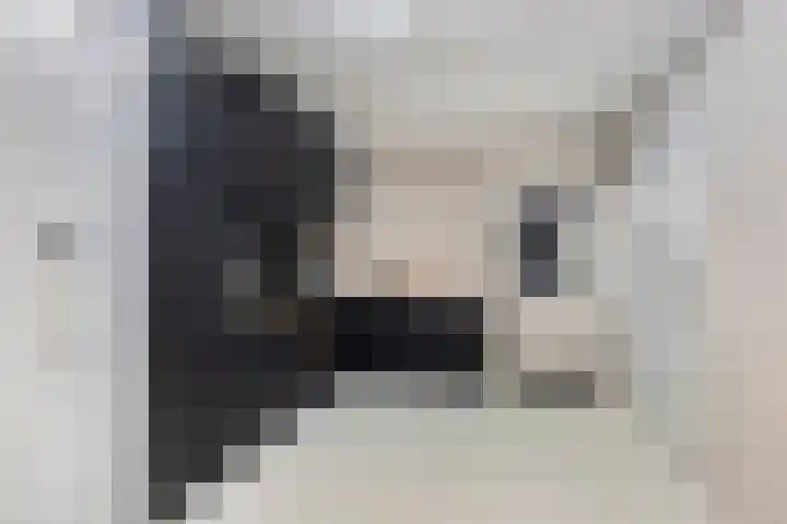 Boterzwin 4401 Julianadorp thumbnail 17