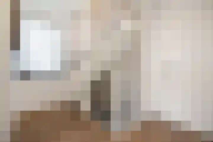 Boterzwin 4401 Julianadorp thumbnail 18