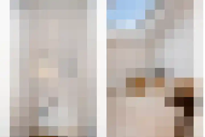 Boterzwin 4401 Julianadorp thumbnail 28