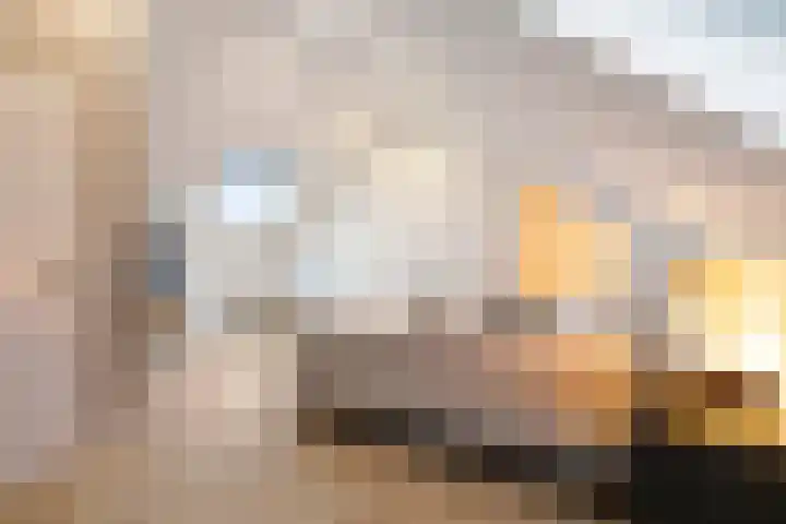 Boterzwin 4401 Julianadorp thumbnail 29