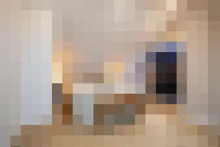 Boterzwin 4401 Julianadorp thumbnail 32