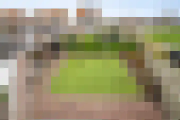 Boterzwin 4401 Julianadorp thumbnail 34