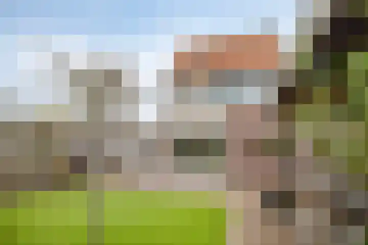 Boterzwin 4401 Julianadorp thumbnail 35