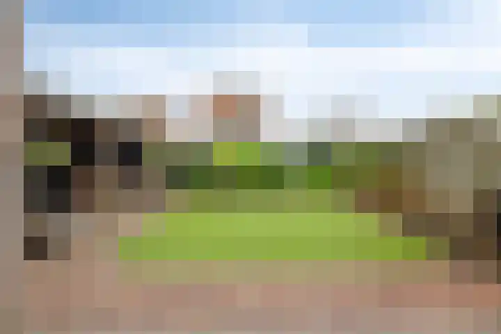 Boterzwin 4401 Julianadorp thumbnail 36