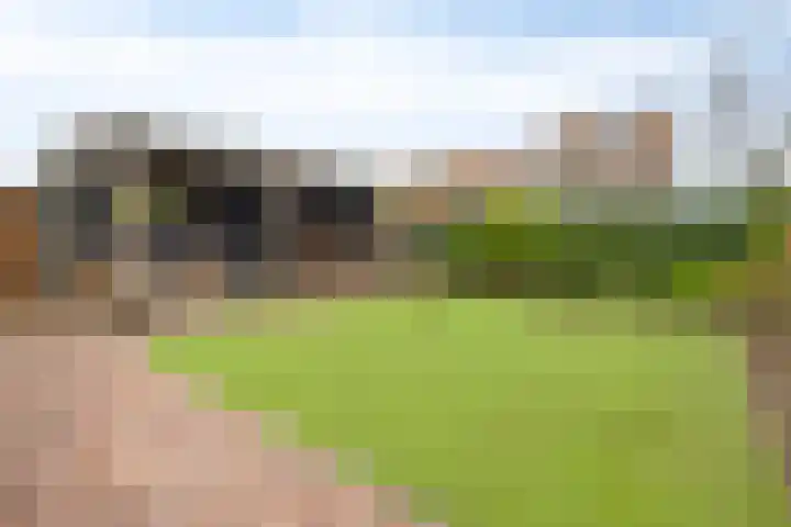 Boterzwin 4401 Julianadorp thumbnail 37