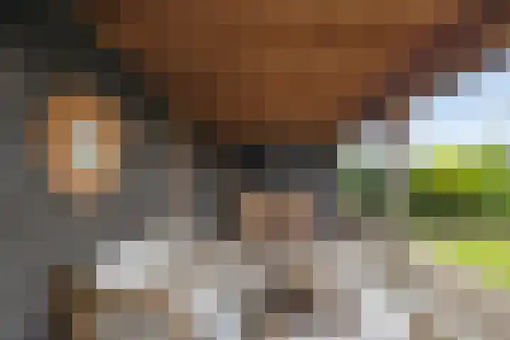Boterzwin 4401 Julianadorp thumbnail 38