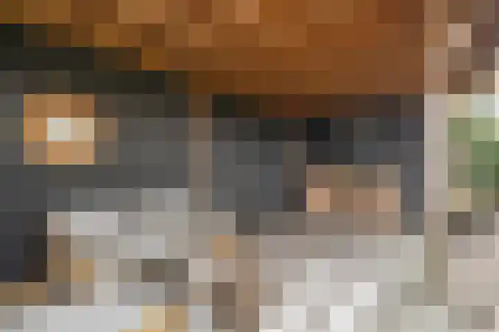 Boterzwin 4401 Julianadorp thumbnail 39