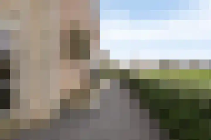 Boterzwin 4401 Julianadorp thumbnail 4