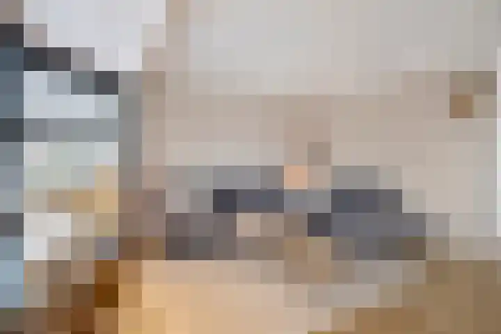 Boterzwin 4401 Julianadorp thumbnail 9