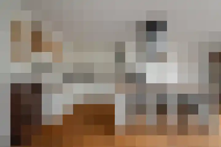 Boterzwin 4405 Julianadorp thumbnail 10