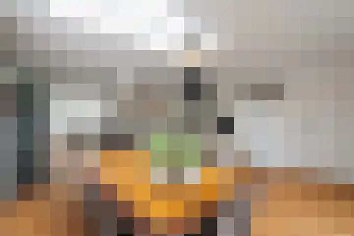 Boterzwin 4405 Julianadorp thumbnail 11