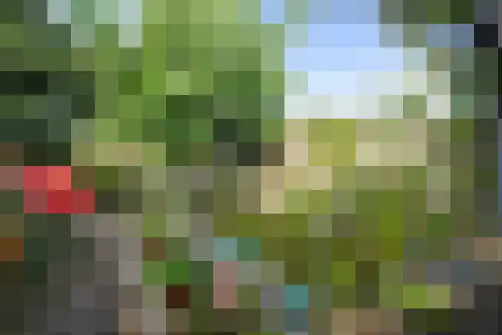 Boterzwin 4405 Julianadorp thumbnail 15