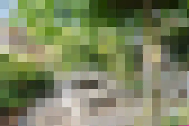 Boterzwin 4405 Julianadorp thumbnail 16